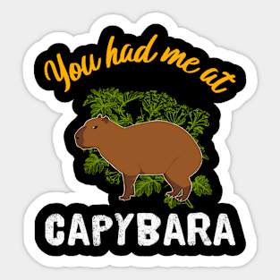 You Had Me At Capybara Sticker